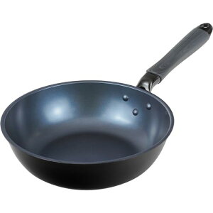 atCY [^tCp fB[vp 24cm IHΉ KX PFOAt[ ӂfH ubN  b\NbN RB- 