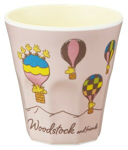 XP[^[(Skater) qp ^u[ 270ml ~ Rbv Xk[s[ EbhXgbN gx MTB2-A 