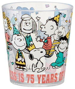 XP[^[(Skater) AN Rbv 280ml Xk[s[ 75th Ajo[T[ KSA4-A 