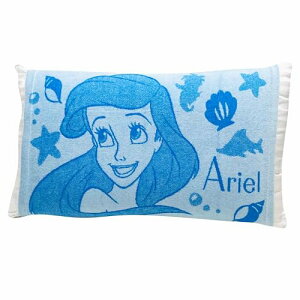 MORIPiLO �f�B�Y�j�[ ���J�o�[ (�A���G�� �e�q�Ŏg����s���[�P�[�X) �^�I���n �̂т̂� �L�k�^�C�v �u���[ 43x63 35 ��������