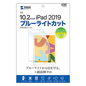 サンワサプライ Apple 第9/8/7世代iPad10.2インチ用ブルーライトカット液晶保護指紋防止光沢フィルム LCD-IPAD12 送料無料