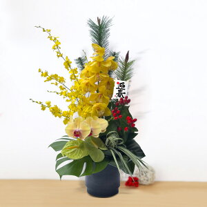 AWgu}tʉ؁i񂳂jvVNj }t    Mtg v[g j JXj a VN̂A Ӓ F  IVWE  _ 