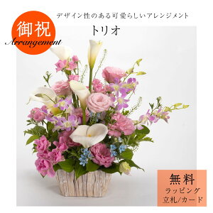 ugIv AWg t[AW Mtg v[g j JXj a o pXe jAX ݃J[ sN p[v zCg u[ i` O[  