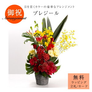 uvW[v AWg t[AW Mtg v[g j JXj a o  bh CG[ _ VbN 傫AW  TgEԓX