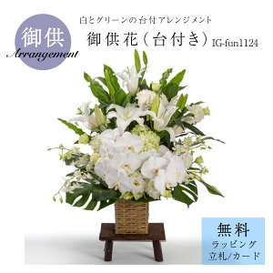 䋟AWgu䋟ԁitjIG-fun1124v   䋟   @v l\ ԑ p TgEԓX