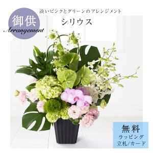 䋟AWguVEXv   䋟   @v l\ ԑ p TgEԓX