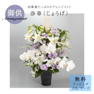 䋟AWgu؁i傤jv   䋟   @v l\ ԑ p TgEԓX  Ӓ 