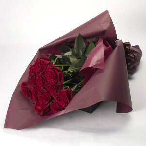 u_Y[Yu[Piԃo12{jv   Mtg v[g v|[Y a _  TgEԓX