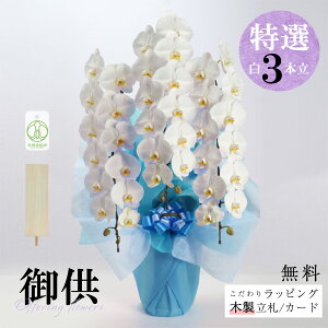 V܉ԉuyIz䋟 Ӓi3{jbsOAMkؐDtv Ӓ 3{ 菑D   䋟   @v l\ ԑ @l l TgEԓX i