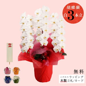 Ӓ 3{   JXjEACjEaɁbiMtg 菑DbsO TgEԓX V܉ԉuj Ӓi3{jbsOAMkؐDtv 