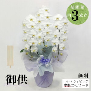 V܉ԉu䋟 Ӓi3{jbsOAMkؐDtv Ӓ 3{ 菑D   䋟   @v l\ ԑ @l l TgEԓX I Ԏ 