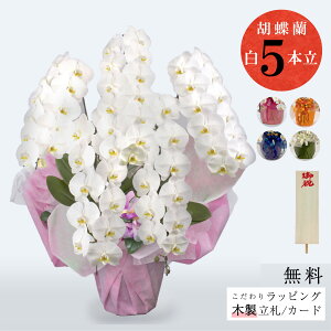 V܉ԉuj Ӓi5{jbsOAMkؐDtv Ӓ 5{ 菑D Mtg v[g j  JXj ACj @l l a ؂₩  TgEԓX 