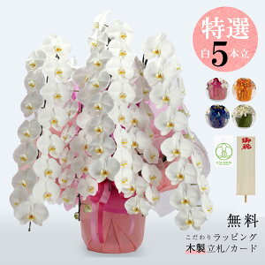 V܉ԉuyIzj Ӓi5{jbsOAMkؐDtv Ӓ 5{ 菑D Mtg v[g j  JXj ACj @l l a ؂₩  Tg