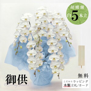 V܉ԉu䋟 Ӓi5{jbsOAMkؐDtv Ӓ 5{  菑D  䋟   @v l\ ԑ @l l TgEԓX I Ԏ 