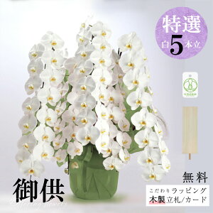 V܉ԉuyIz䋟 Ӓi5{jbsOAMkؐDtv Ӓ 5{ 菑D   䋟   @v l\ ԑ @l l TgEԓX i