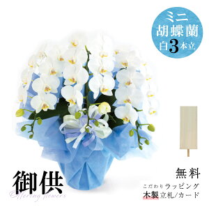 V܉ԉu䋟 ~jӒi3{jbsOAMkؐDtv~jӒ Ӓ  菑D   䋟   @v l\ ԑ p TgEԓX D 