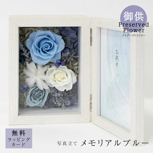 䋟vU[uht[uAu[v ʐ^   䋟   @v l\ ԑ p TgEԓX