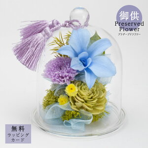 䋟vU[uht[uDear (fBA[/e)v  䋟   @v l\ ԑ p TgEԓX ȒP h[^ ft@