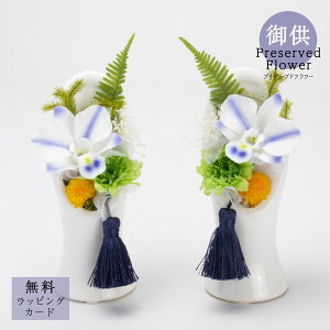 2Zbg 1 䋟vU[uht[uLumina (~i/)v  䋟   @v l\ ԑ p TgEԓX 炵  _ ₷ zCg u[ X