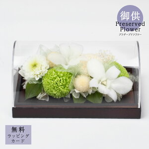 䋟vU[uht[ueternity-M (G^jeB/Ƃ)v  䋟   @v l\ ԑ p TgEԓX ȒP ft@