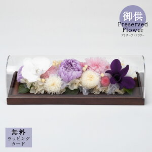 䋟vU[uht[ueternity-L (G^jeB/Ƃ)v  䋟   @v l\ ԑ p TgEԓX ȒP  _ h[^ Ӓ