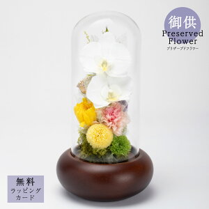 御供プリザーブドフラワー「Zen (ゼン/禅)」花 胡蝶蘭 お供え 御供 供花 仏花 法要 四十九日 花贈り 自宅用 サトウ花店 お手入れ簡単 ドーム型 木製 インテリア 飾りやすい おしゃれ 胡蝶蘭