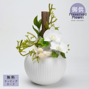 䋟vU[uht[uPurity (seB/)v Ӓ  䋟   @v l\ ԑ p TgEԓX 炵  _ 傫 Ӓ