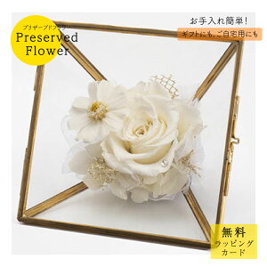 vU[uht[uigpr4424v KXt[ o Mtg v[g ͂Ȃ j JXj a  킢  zCg TgEԓX