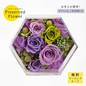 vU[uht[uigpr4124v o ANt[ ₷ Mtg v[g ͂Ȃ j JXj a  킢  p[v  O[ TgEԓX