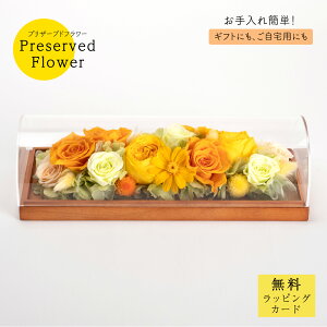 vU[uht[uigpr0725v o Jo[t ؐt[ Mtg v[g j JXj a  킢 W ؂₩ CG[ F IW ȒP TgEԓX