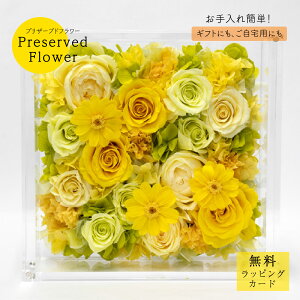 vU[uht[uigpr0824v t[ o Mtg v[g j JXj a   킢 W ؂₩ CG[ O[ F  ȒP 傫 TgE