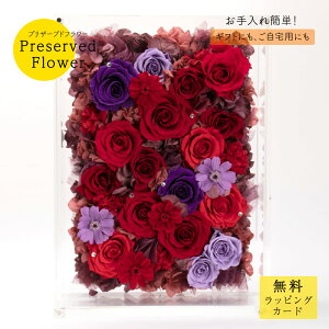 vU[uht[uigpr0624v t[ o Mtg v[g j JXj a   킢 W ؂₩   bh p[v ȒP 傫 TgEԓX