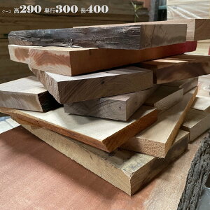 y2`3z[():H27cm D30cm L41cm@15kg@EH[ibg I[N Lt ؍ p H ubN DIY \D 