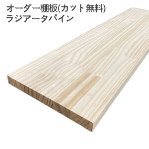[2`3nI[_[ I WA[^pC 2cm W C fXN {I HI [I EH[NCʔ ʑ EH[NC V[YC pg[ V