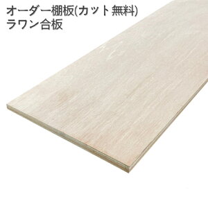 [2`3nI[_[ I  2.1cm fXN {I HI [I EH[NCʔ ʑ EH[NC V[YC pg[ V