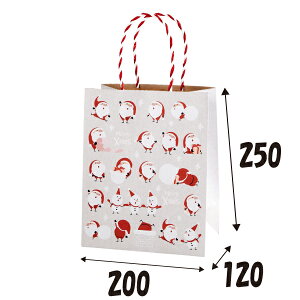 NX}X@܁@T^@HV20@50TCY@200×120×250y񂰑܁@񂰎܁@bsO@obN Xmasz