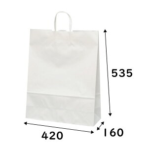 񂰑܁@HV140@N@n@50@420×}`160×535mm