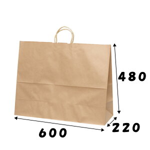 yP[X̔z񂰑܁@HV160@N@100@600×}`220×480mm