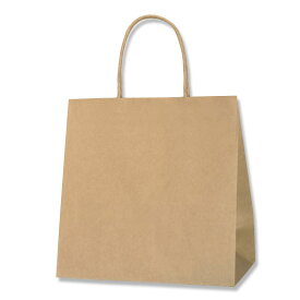 紙袋 スムースバッグ 26-16 未晒無地 25枚 サイズ :260×160×265mm【業務用 茶無地 茶 マチ広 手提げ 手提袋 手提】