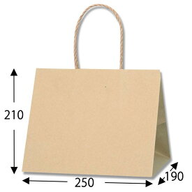 紙袋 Pスムースバッグ 25-19 未晒無地 25枚 サイズ :250×190×210mm【業務用 横長 マチ広 手提げ 手提袋 手提】