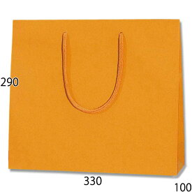 紙袋　プレーンチャームバッグ　3才　オレンジ　10枚【紙袋 手提げ 手提げ袋 手提げ紙袋 ラッピングバック】
