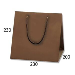 ���� �u���C�g�o�b�O C-2 �`���R�u���E��MT(�}�b�gPP�\��) 10���y���� ��� �u���C�_�� �����o���z