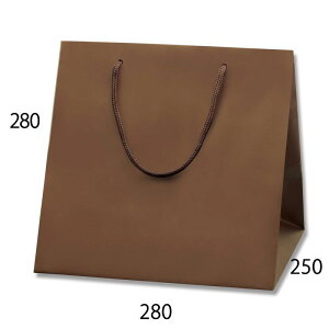 ���� �u���C�g�o�b�O C-1 �`���R�u���E��MT(�}�b�gPP�\��) 10���y���� ��� �u���C�_�� �����o���z