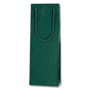 ܁@񂰁@J[`[obN@CL@O[@10