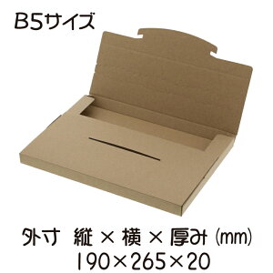 ���[���փ_���{�[���@���N�|�XBOX�@265-20�@�N���t�g�@10���@�y�䂤���[���@�䂤�p�P�b�g�@�l�R�|�X�@�����p�_���{�[���@���[���փP�[�X�@B5�T�C�Y�z