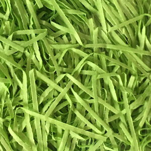 ɏՍށ@pbL@Ɩp1kg@O[ybsO@@Mtgz