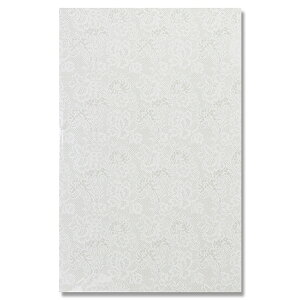 OPP܁@@NX^pbN@L-1@C[Xi240×360mm)@50