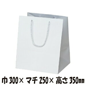 yP[X̔z񂰑܁@}bgzCg@W-300@50@300×}`250×350mmyƖp@񂰑܁@񂰎܁@܁@}`L@܁@񂰑܁z