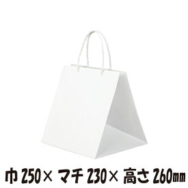 【ケース販売】高級手提げ袋　キューブ　Q-230　50枚　巾250×マチ230×高さ260mm【手提げ袋　手提げ紙袋　紙袋　マチ広　手提袋　手提げ袋】