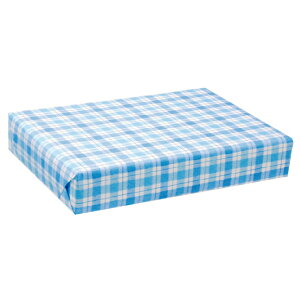   `FbN@100ybsOy[p[@Ɩpz